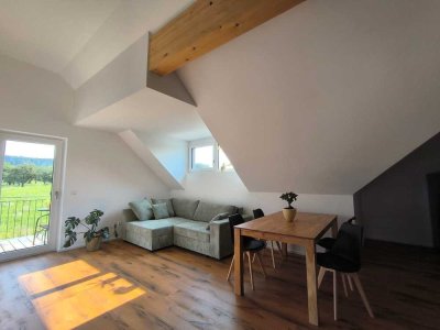 Erstbezug 3 Zimmer Wohnung mit gehobener Innenausstattung mit Balkon und Einbauküche in Eberstadt