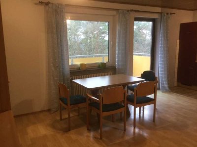 Helles 1-Zimmer Apartment in Lahnstein