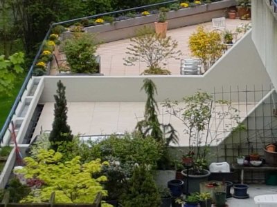 Besichtigung: 06.08.25 TOLLE WHG MIT CA. 50 m² SÜD-WEST TERRASSE, EBK. + G-WC IN GRÜNLAGE z. 01.09..