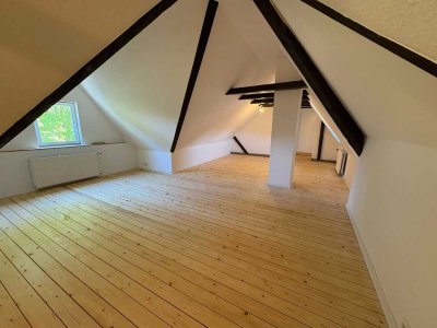 Charmante 4 Zi.-Wohnung - Erstbezug nach Sanierung