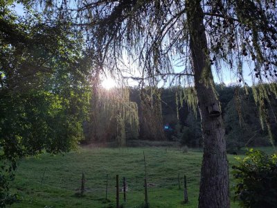 Provisionsfrei: La Provisionsfrei: Landwirtschaftliches Anwesen, Bauernhof, Pferdehof,