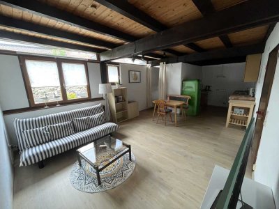 Auf Zeit: Sanierte 2-Raum-Wohnung mit Einbauküche in Stegen