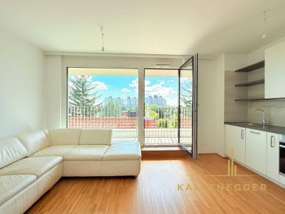 Perfekte Singlewohnung mit Terrasse im 3. Stock
