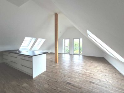 Penthouse 4,5 Zimmer mit Dachterrasse mit Option für Einliegerwohnung (Vermietung / Kinder / Pflege)