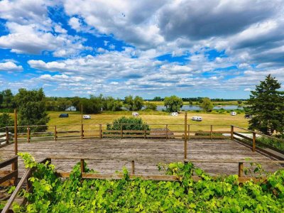 Lebensqualität mit sonniger Perspektive direkt an der Elbe