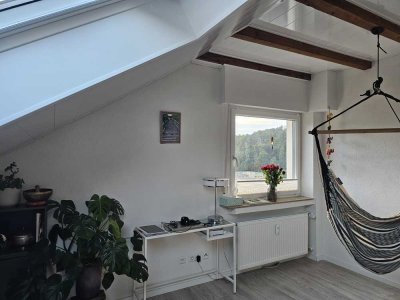 Helle 1-Zimmer-Wohnung in Pforzheim