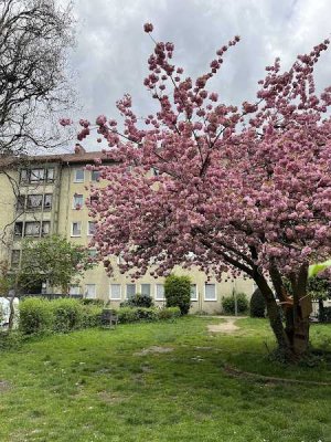Frisch renovierte 4-Zimmer-Wohnung mit Tageslichtbad!