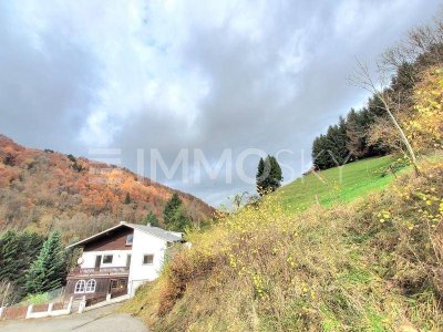 Geräumiges Sacherl mit Pool auf über 1 Hektar Grund!