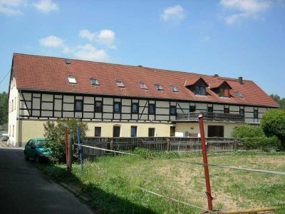 gemütliche 2-Raum-Wohnung mit Einbauküche in Kleinvoigtsberg