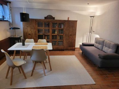 Gepflegte, helle möblierte 1-Zimmer-Souterrain Wohnung in Dreieich für Berufspendler
