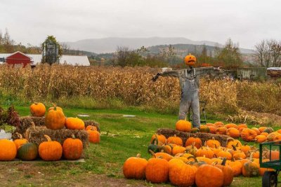 Daheim ist es am schönsten- Jetzt mit neuer Förderung sicher bauen!!!