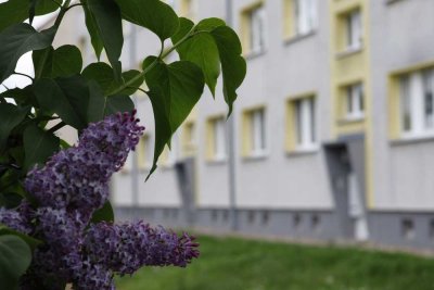 Hochwertige und schöne 2R Wohnung in ruhiger Lage,  5 Minuten zur S-Bahn.. schnell im Zentrum