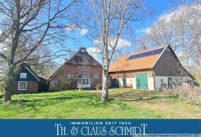 Herrliches Reetdach-Bauernhaus mit kl. Gästehaus und Scheune  zw. OL und Jadebusen