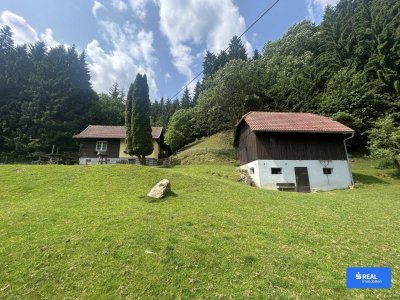 RARITÄT Nähe Wolfsberg - Häuschen mit Nebengebäuden, Fischteiche und Wildgehege