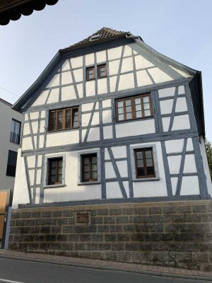 Exklusive 2-Raum-Wohnung mit gehobener Innenausstattung in Bodenheim