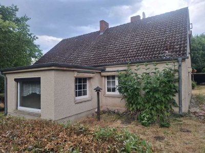 Einfamilienhaus mit großem Grundstück