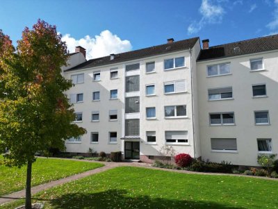Wohnen am Ahnepark – hochwertig renovierte 2-Zimmer-Wohnung mit Balkon in Vellmar-West