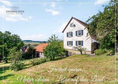 Weinbauernidyl mit Scheune sucht Dorfliebhaber