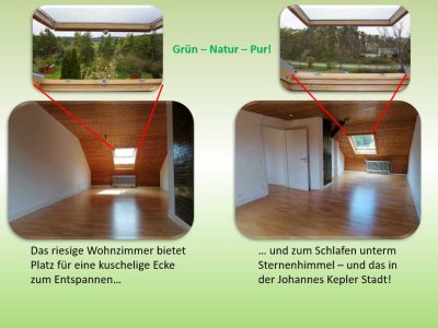 DG-Wohnung in Weil der Stadt