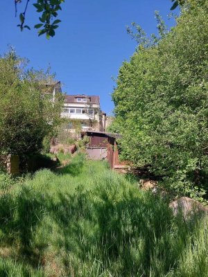 Charakterhaus mit großem Garten, zentral & vielseitig nutzbar