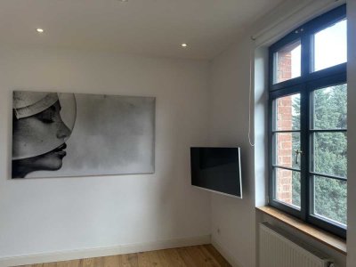 1 ZKB Wohnung/Appartement möbliert MA-Neckarstadt LUXUS