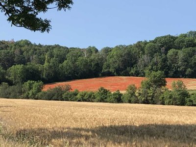 Sonnige 3-Zimmer-Wohnung