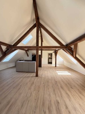 ÜBER DEN DÄCHER VON LANDAU: Dachstudio im Loft-Stil mit Luxus-Einbauküche im Stadtkern