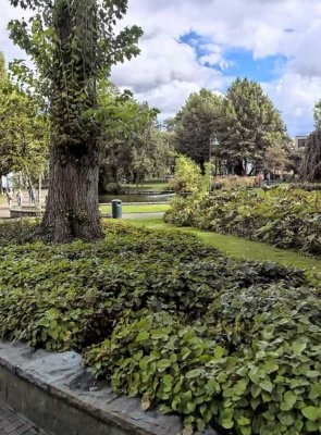 Charmante 1-Zimmerwohnung im Herzen von Paderborn – zentrale Lage an den Paderquellen