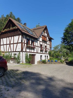 3-Zimmer Wohnung mit Balkon im Raum Kaisersbach