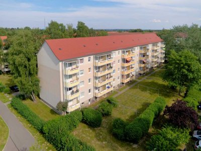 Erstbezug nach Renovierung 2,5 Raumwohnung (19.29)