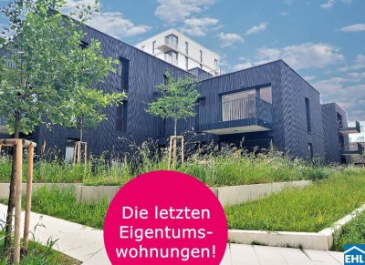 Herzlich willkommen zum Projekt WILDGARTEN