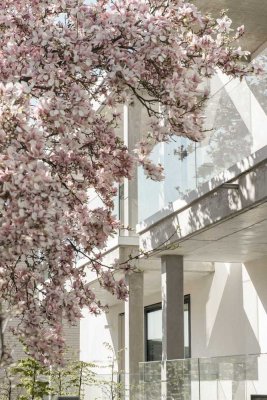 Villa Schützenhütten - Ein Rückzugsort mitten in der Stadt