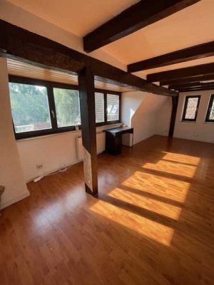 3 Zi- Dachgeschosswohnung in 72108  Rottenburg/N- Bieringen, Ortslage, Blick zum Neckar