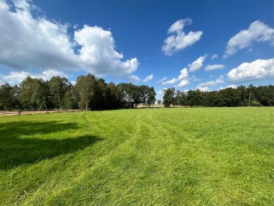 Moderne Reitanlage auf 10,6 ha, Halle, Platz, 20+ Boxen, 450 m² Wfl. EFH+3 Whg. Fernwärme+PV Anlage!