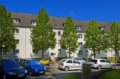 Wunderschöne 2-Zimmer-Wohnung mit Balkon in Hagen Eilperfeld!