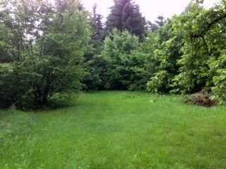 HEUTE ANRUFEN UND IM SOMMER 2027 GRILLPARTYS IM GARTEN IHRES EIGENEN HAUSES FEIERN: 01714863595