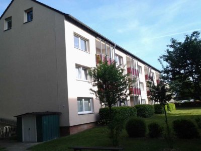 BS-Rautheim modernisierte helle 4 ZW Feldausblick I. OG