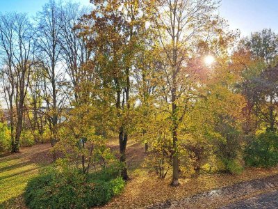 3-Zimmerwohnung Magdeburg