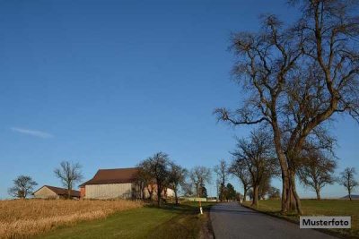 Dreiseitenhof mit Einfamilienhaus und Nebengebäuden