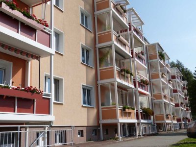 Sanierte 4-Raumwohnung in Döbeln Ost I