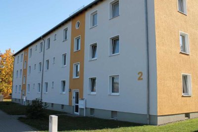 Modernisierte 3-Zimmer mit Dusche/ohne Balkon in Oker