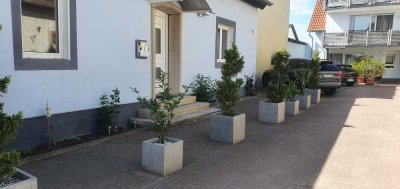 Kleines freistehendes Einfamilienhaus