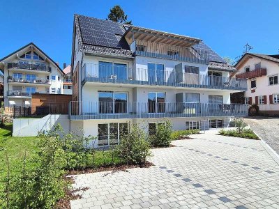 Anschauen & Einziehen