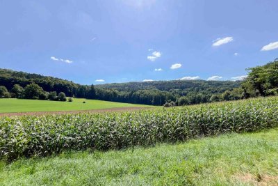 Kleines Häuschen mit idyllischem Garten in herrlicher Feldrandlage