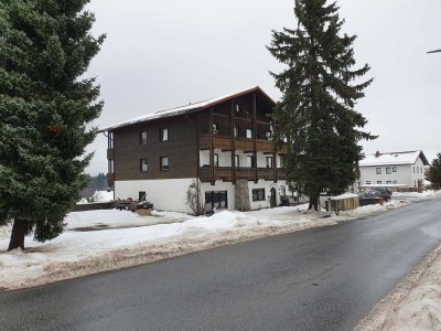Schöne große 4 Zimmer Wohnung, Spiegelau, Erstbezug nach Sanierung