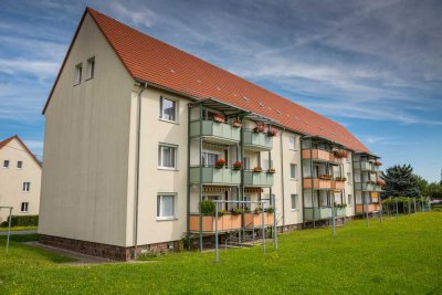 Helle 3-RW mit Dusche & Balkon sucht Mitbewohner für gemeinsame Abenteuer!!!