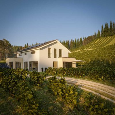 Designvilla mit Fernblick BIEN-ZENKER