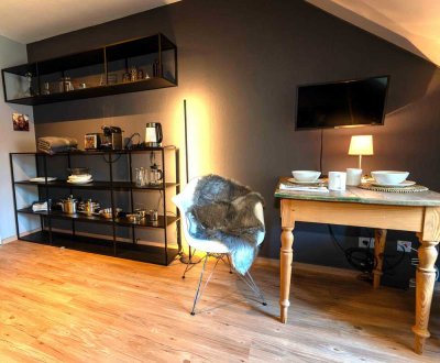 modern möblierte 1-Zimmer-DG-Wohnung in München Riem