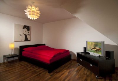 Stilvolle 1-Zimmer-Wohnung mit Küche gehobene Innenausstattung in Koblenz