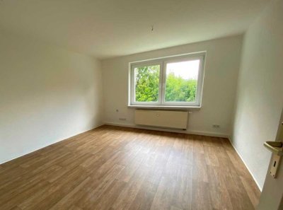 Gemütliche Single-Wohnung sucht neuen Wohnpartner!